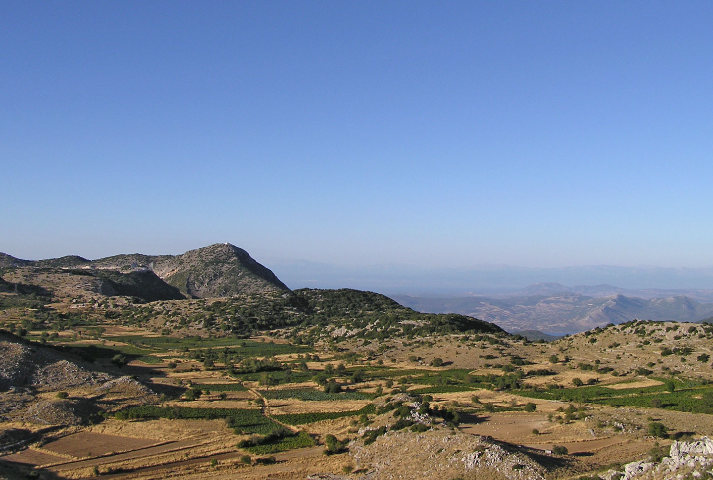 The famous lentils grow on the plateau of Englouvi | Lefkada Slow Guide