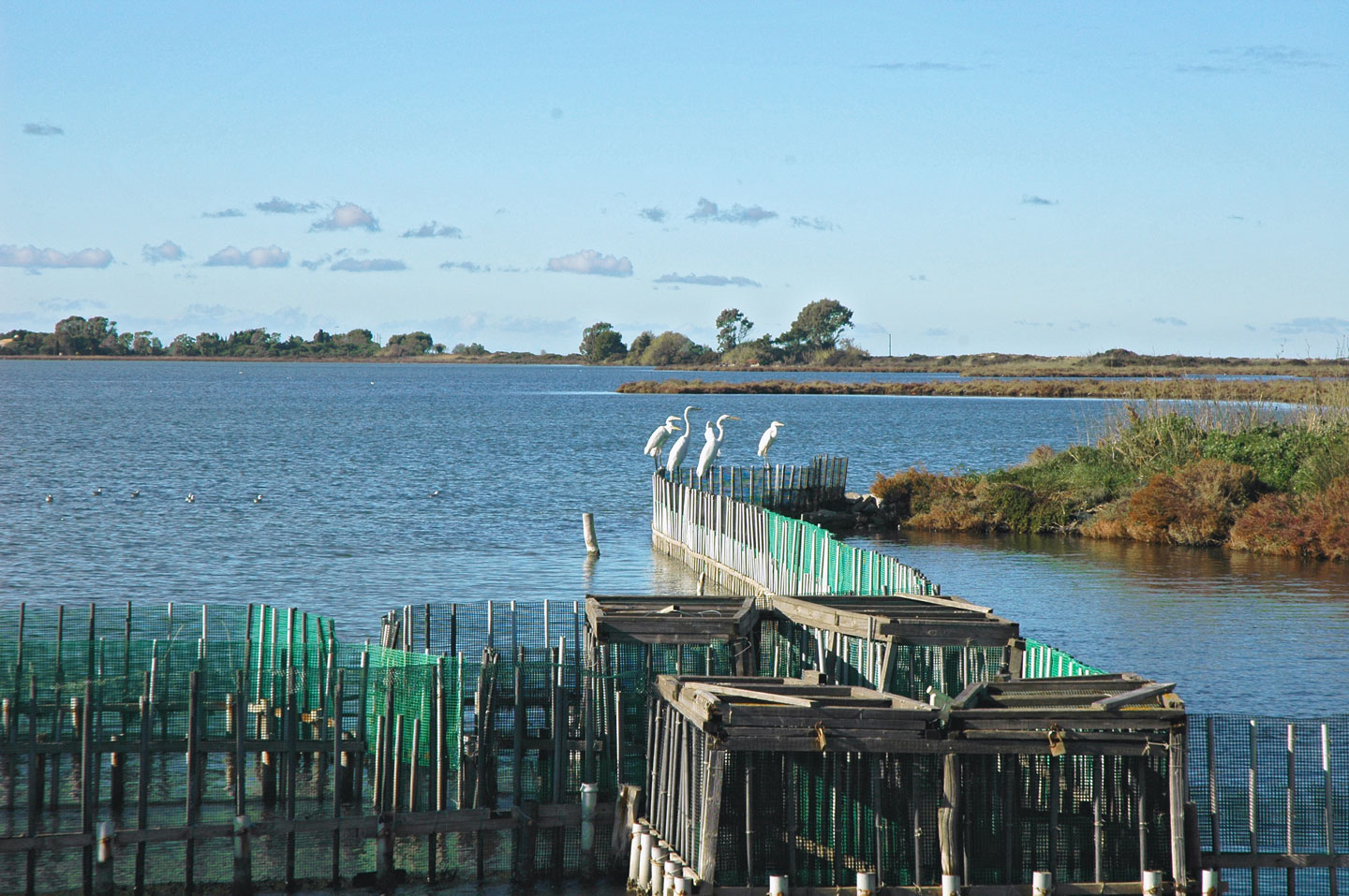 Ivari | Lefkada Slow Guide