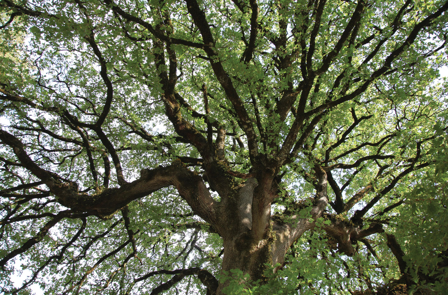 Skaros hill in Kolyvata village | Stunning routes in Lefkada | Lefkada Slow Guide