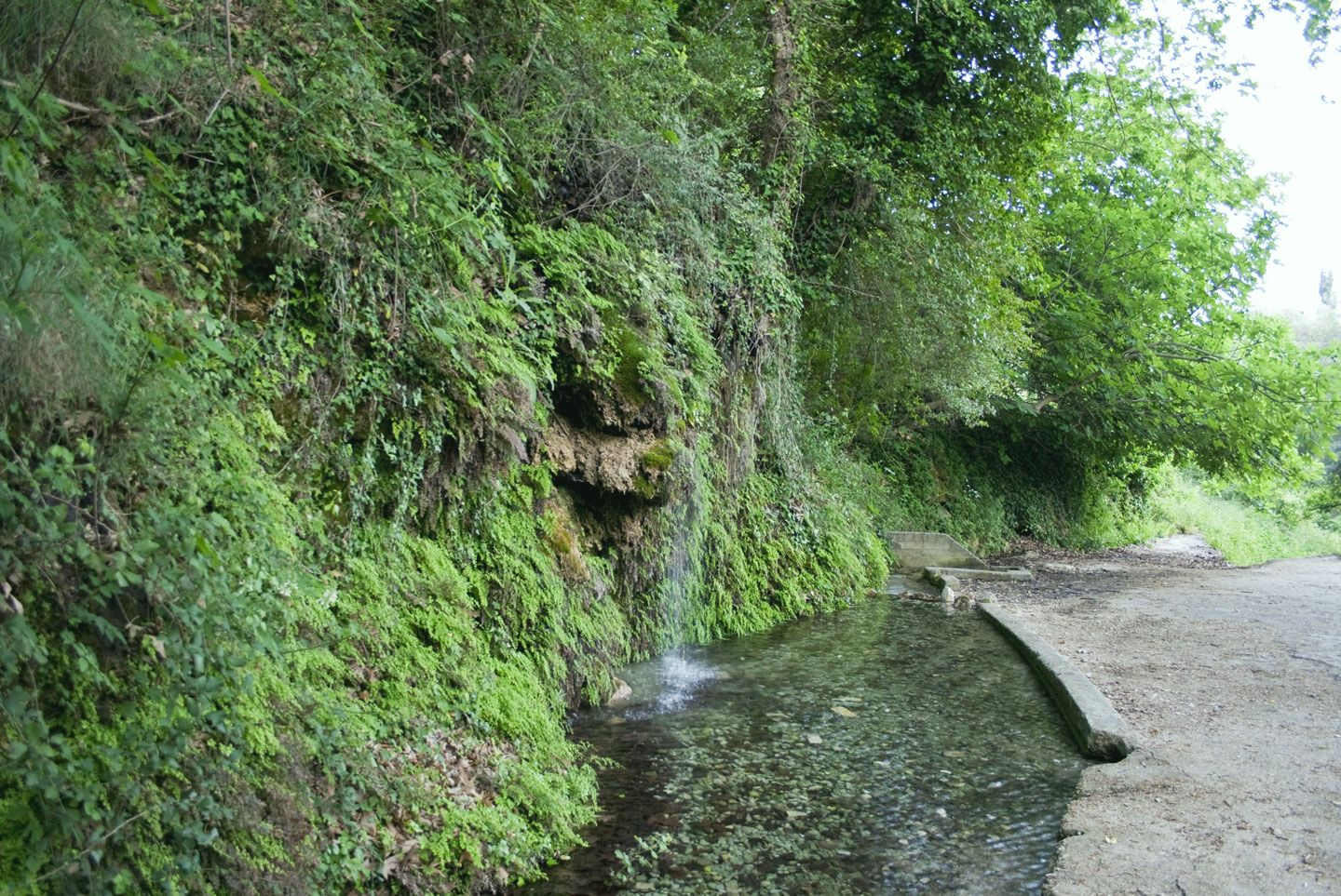 Excursion in southern Lefkada | A Walk in nature | Lefkada Slow Guide