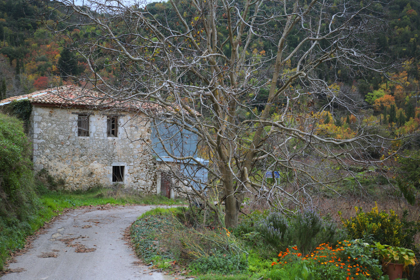 The hinterland of Lefkada is plentifully enriched with natural beauties