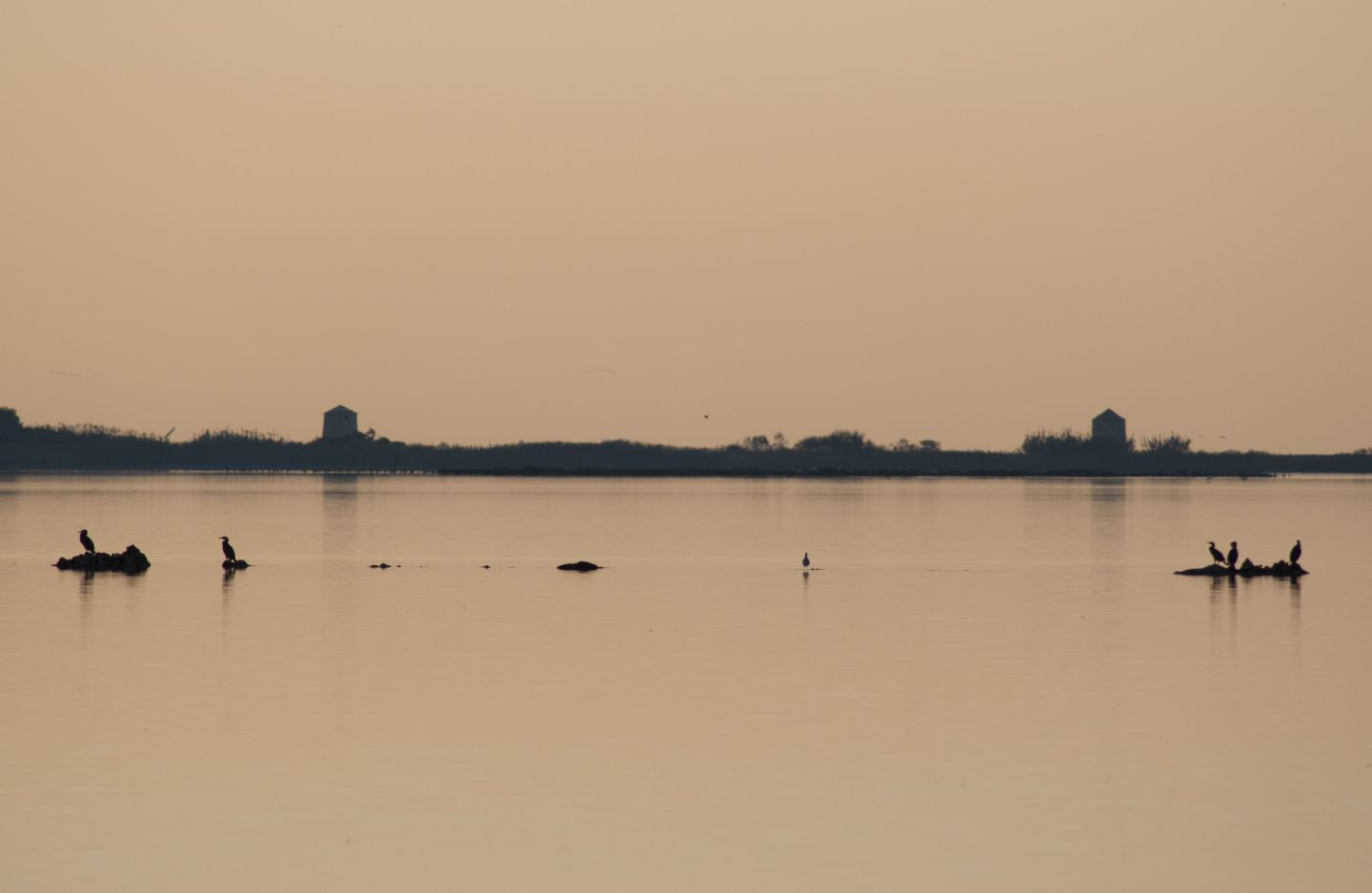 The lagoon of Lefkada is one of the most important wetlands in Greece