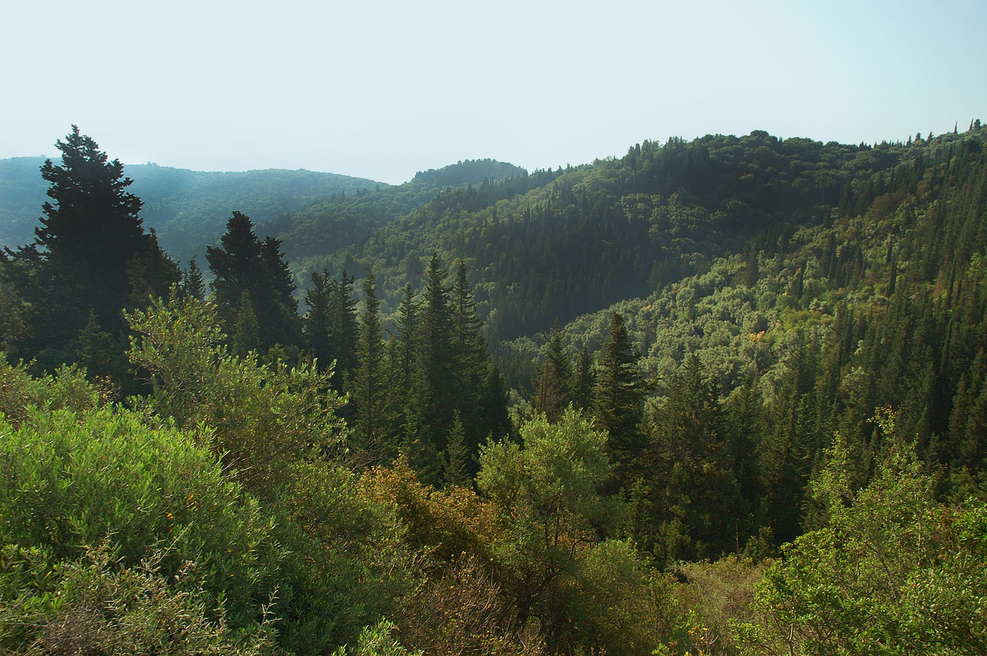 Ο πλούτος της λευκαδίτικης χλωρίδας | Lefkada Slow Guide