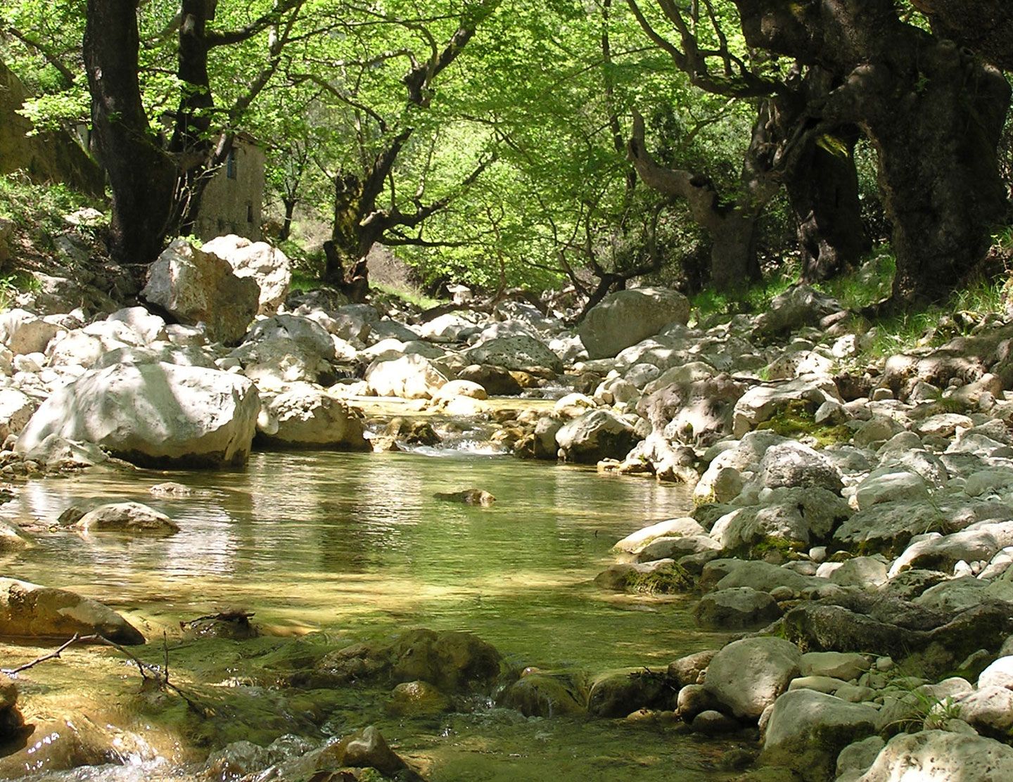 Οι καταρράκτες στο Νυδρί της Λευκάδας που εντυπωσιάζουν