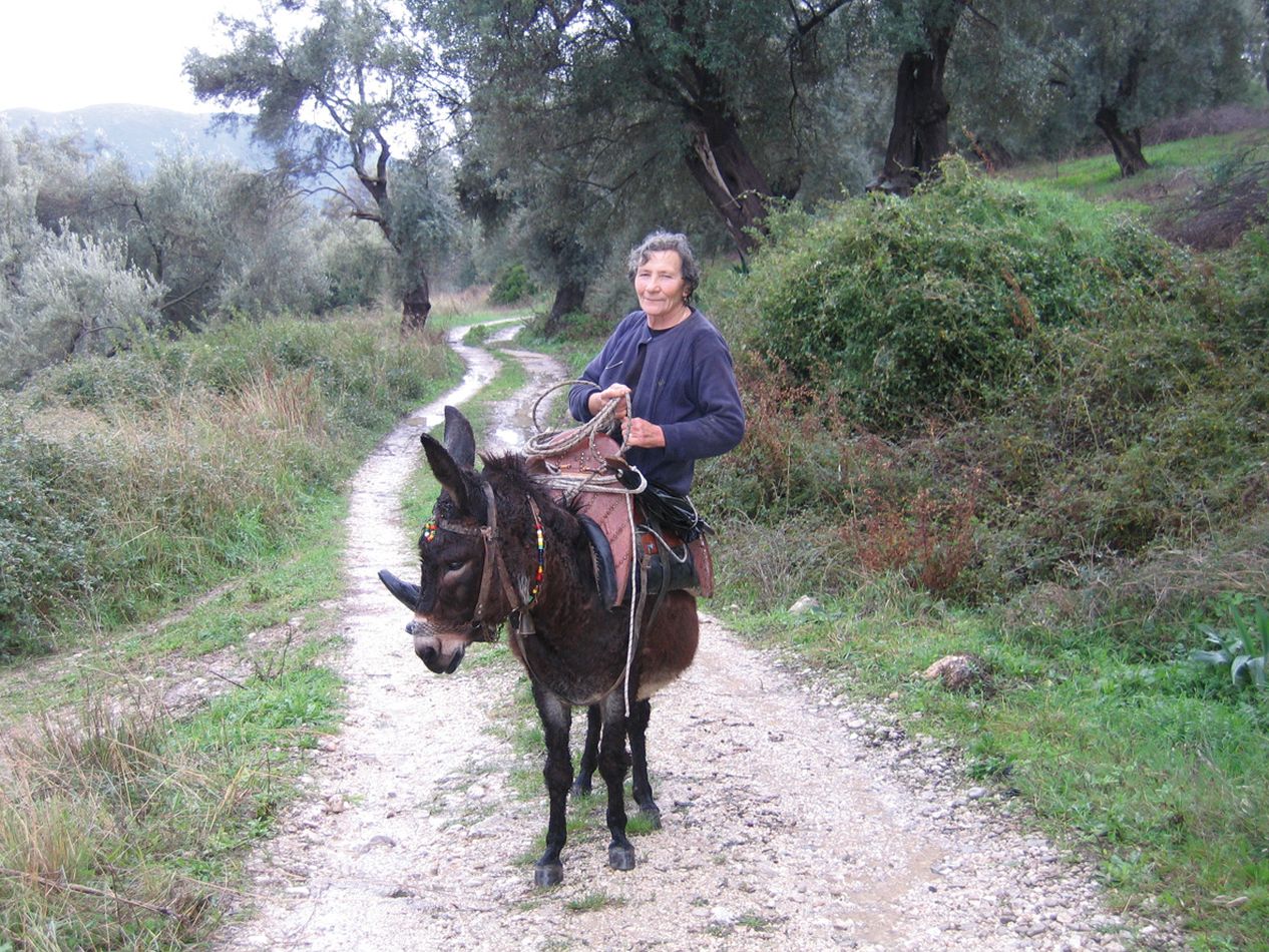 Vassiliki, Lefkada | Ideal place for hiking, cycling, horse-back riding